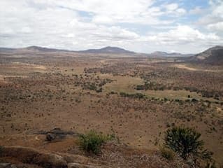 DSC02423